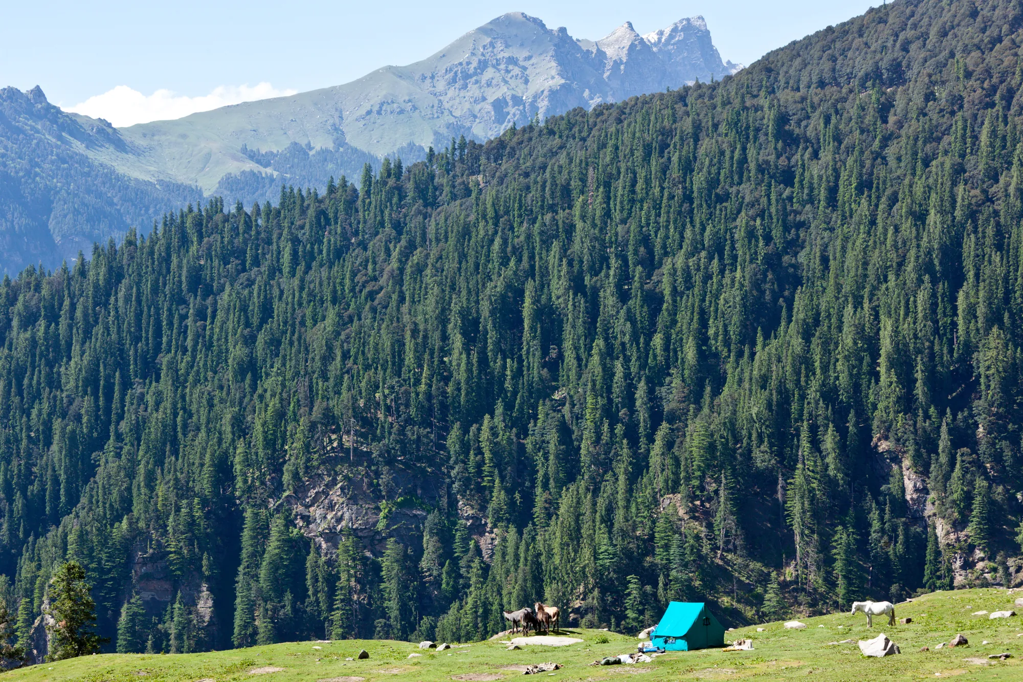 Camp in Kullu Valley, Himachal